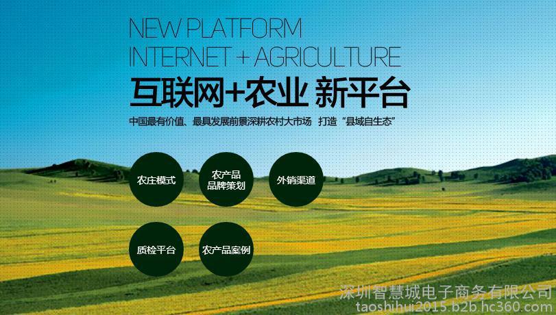 深圳智慧城电子商务提供的淘实惠农商平台